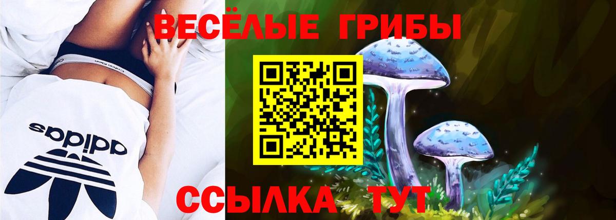 Псилоцибиновые грибы Psilocybine cubensis  Вход с VPN  Галлюциногенные грибы MAGIC MUSHROOMS  Качканар 
