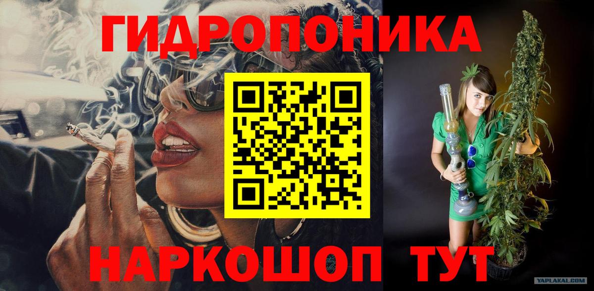 МАРИХУАНА ГИДРОПОН  Каннабис конопля  Вход с VPN  Шишки марихуана Bruce Banner  Качканар 